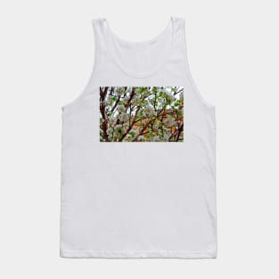 Manitou Springs Blossoms Tank Top